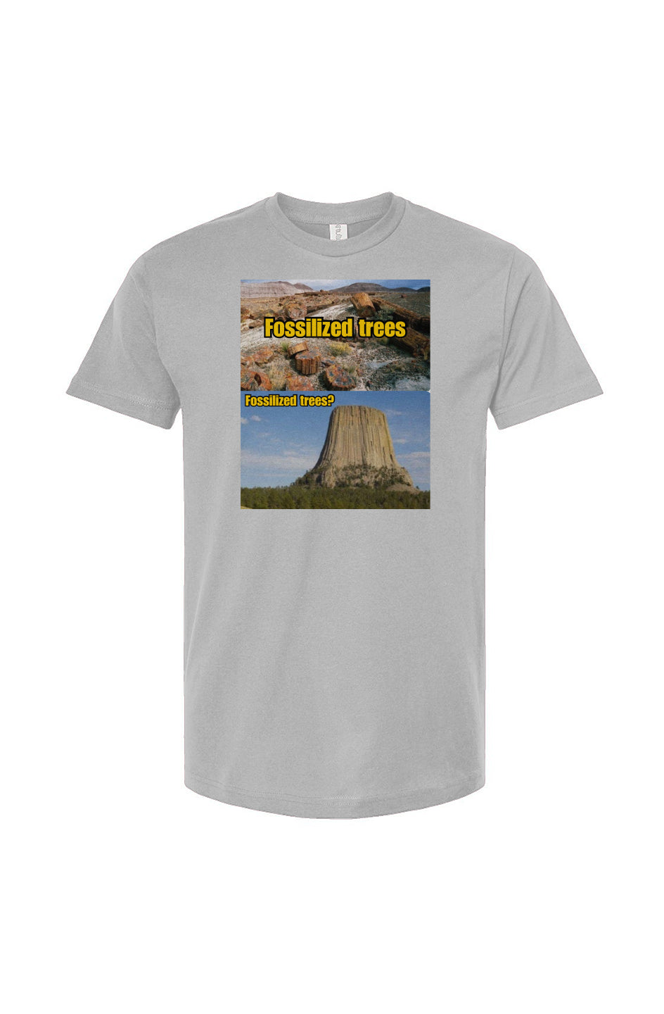 Tultex Unisex T Shirt